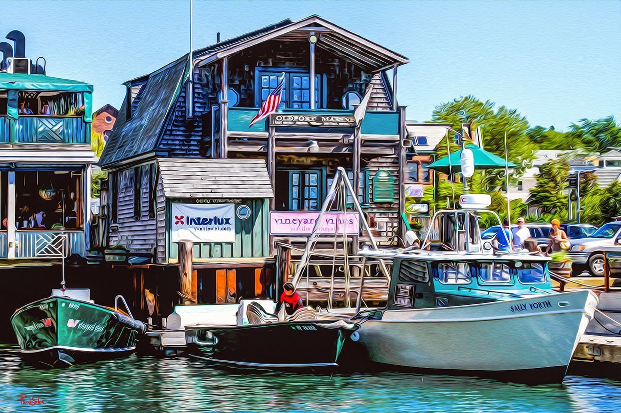 "Vibrant Life Sally Forth at Oldport Marine"