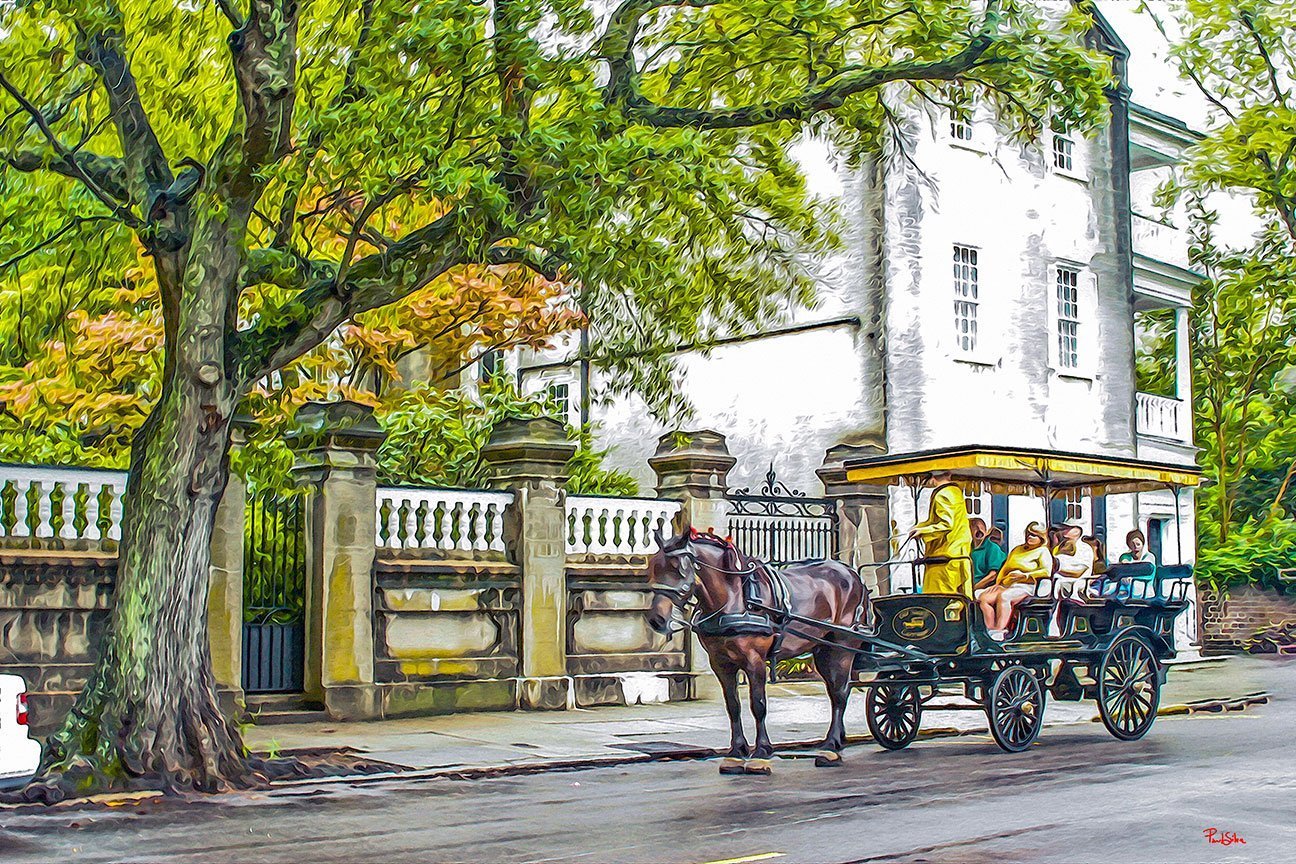 "Vibrant Life Meeting Street Carriage"