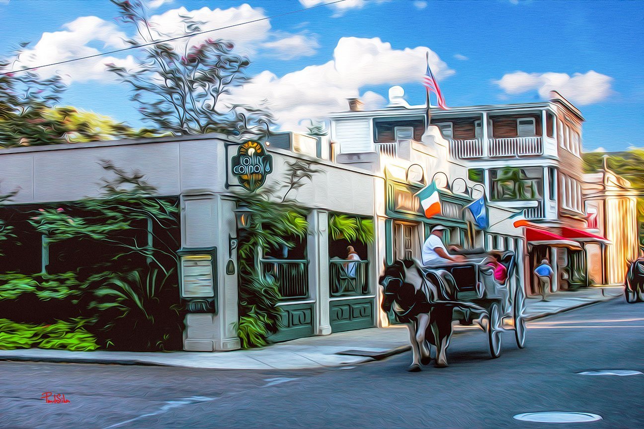 "Vibrant Life Condons Carriage Ride"