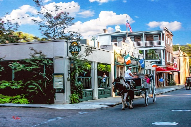 "Vibrant Life Condons Carriage Ride"