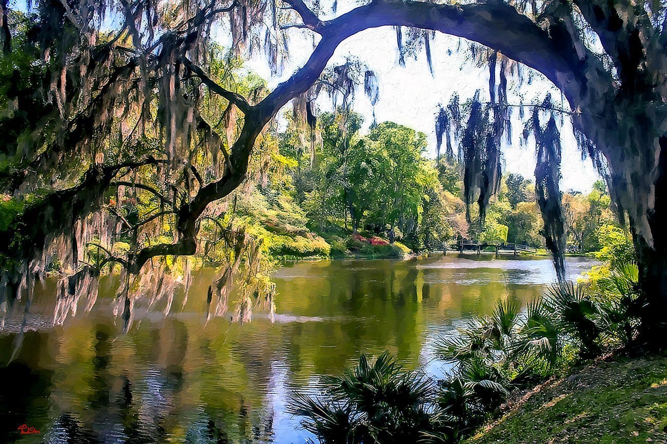 "Middleton Place Tree Framed Footbridge"