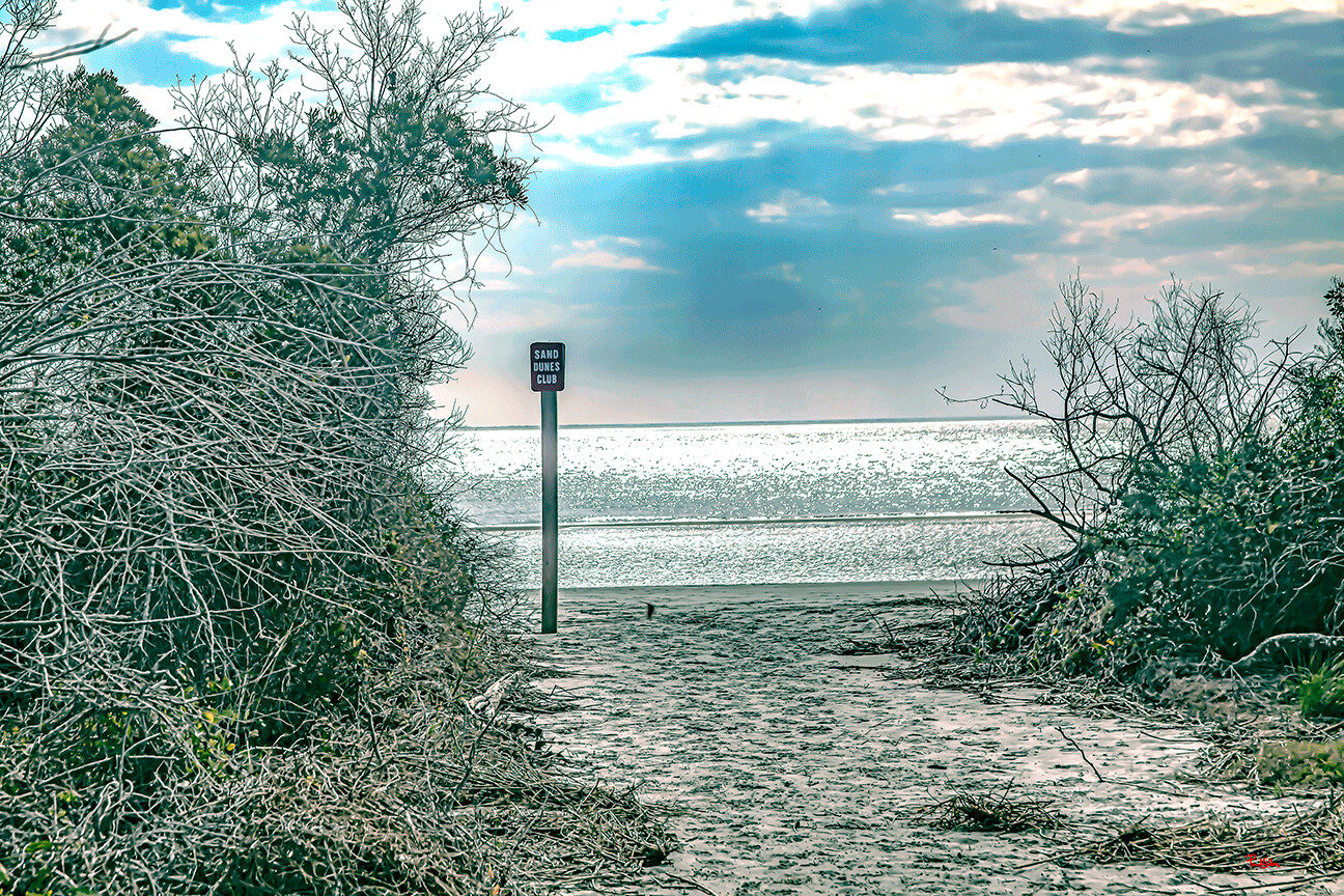 "Sand Dunes Club"