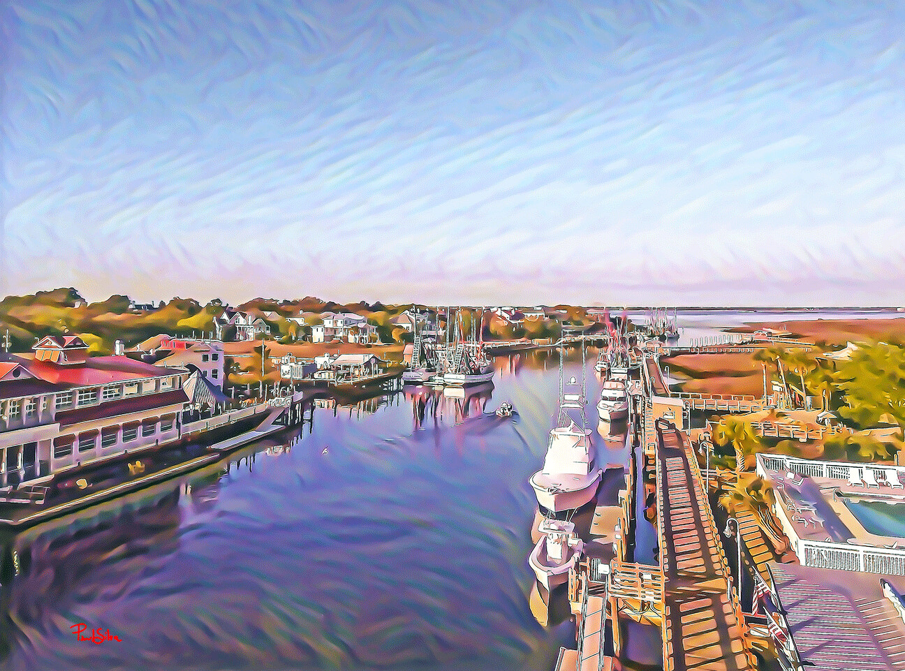 Vibrant Life Vibrant Life "Shem Creek Birdseye"
