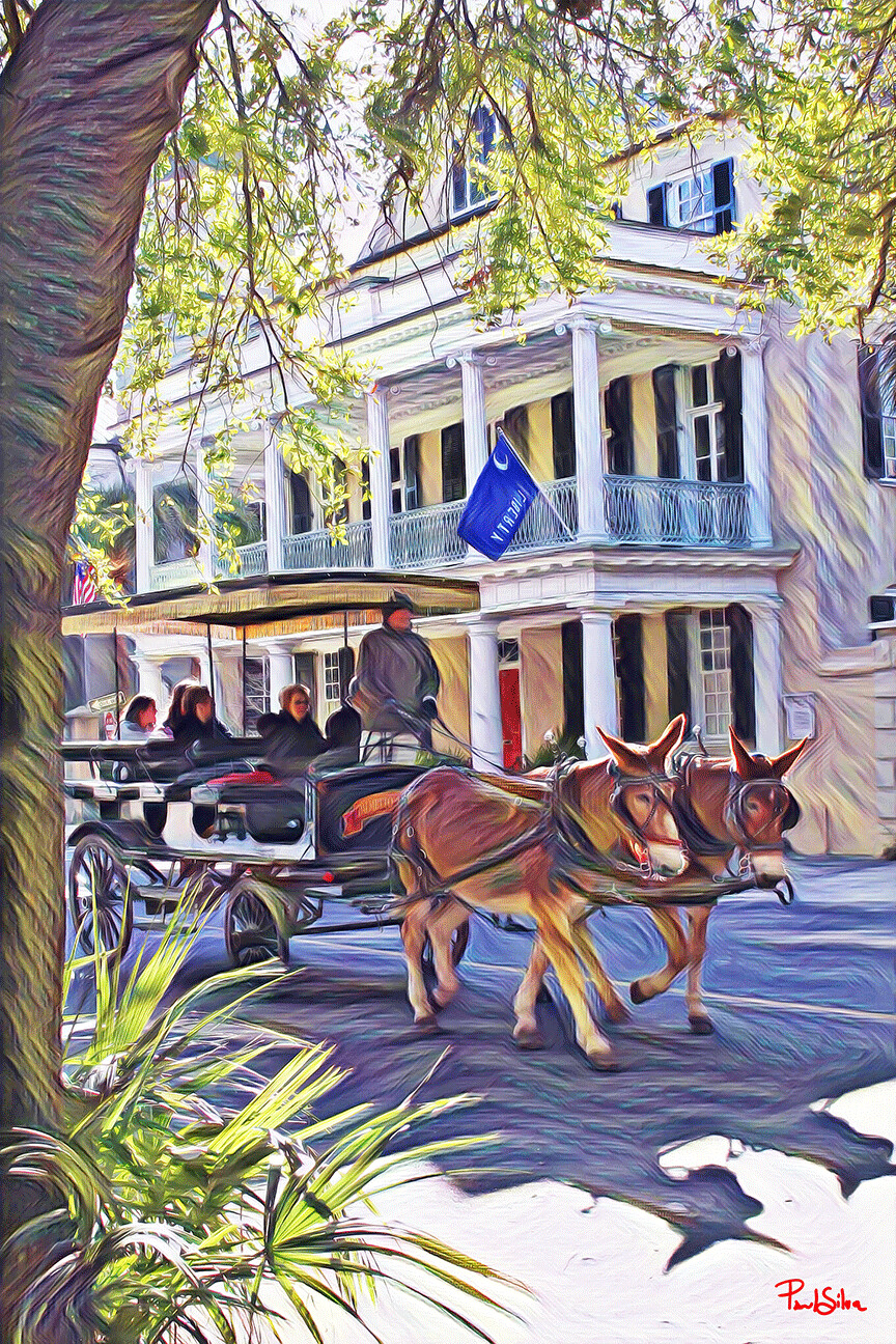 "Meeting Street Carriage" Vibrant Life