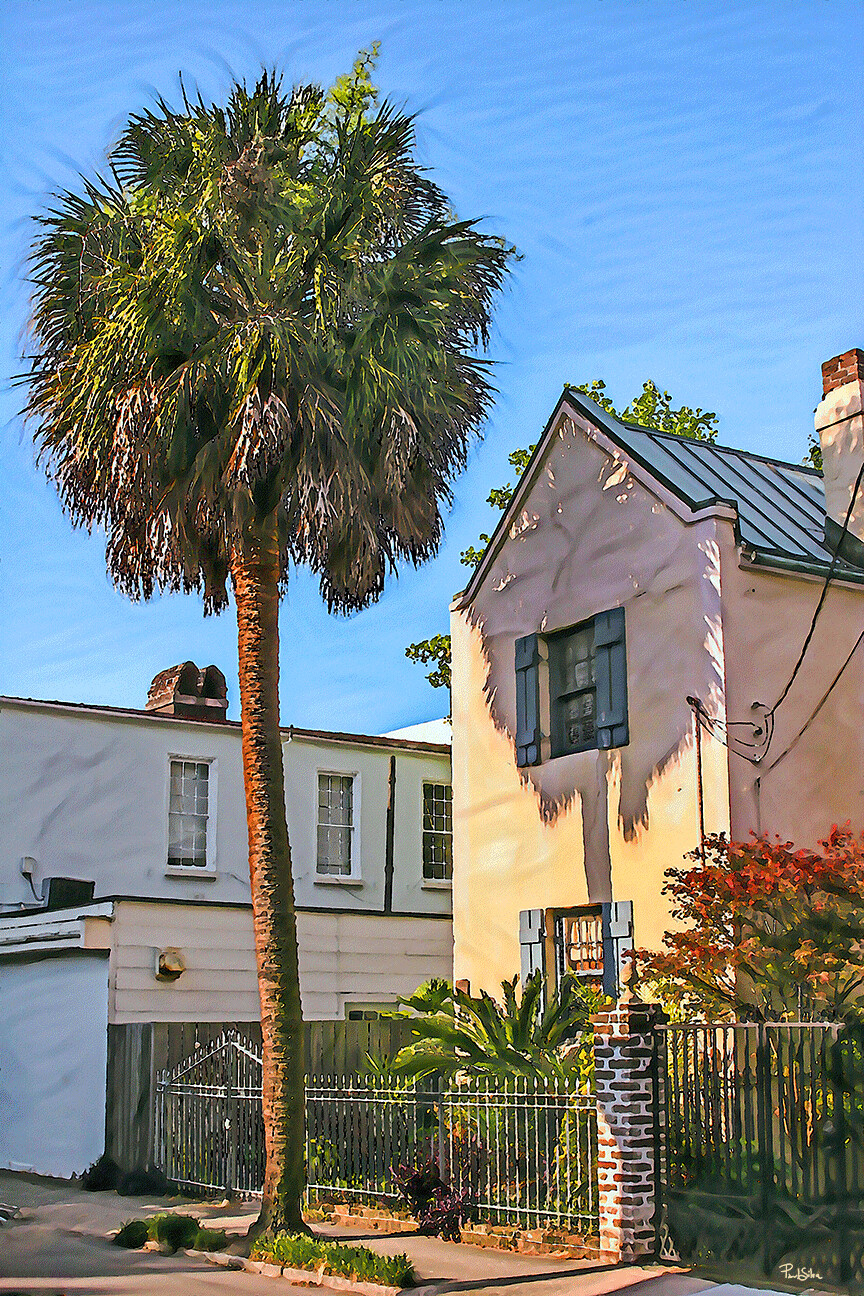 "Palmetto Shadow" Colorful Painter Series