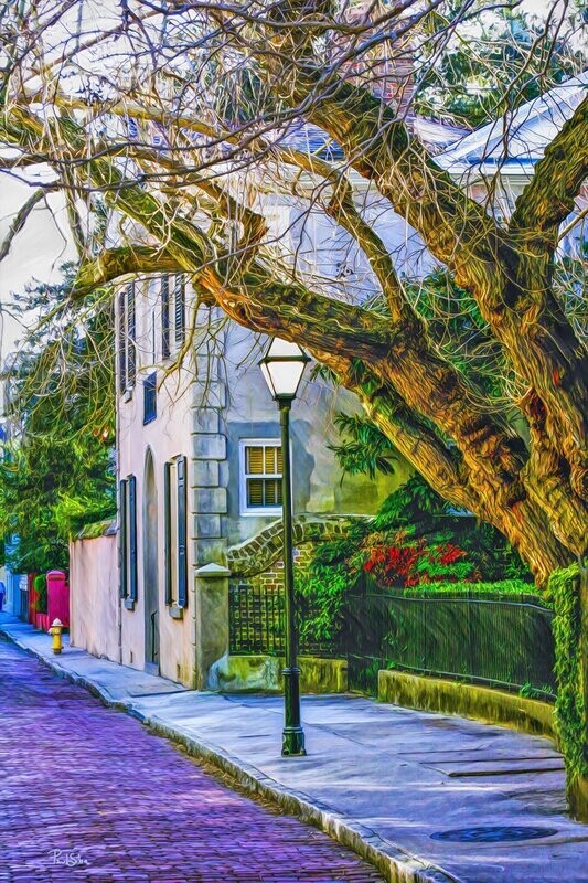 "SOB Wintertime" Colorful Painter Series