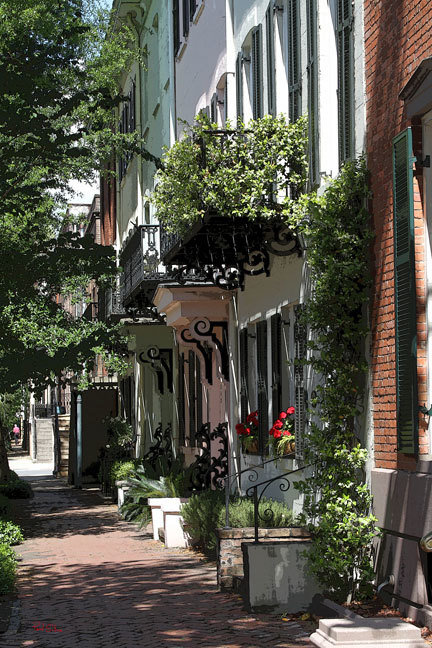 Vertical Street Scene Vertical Street Scene