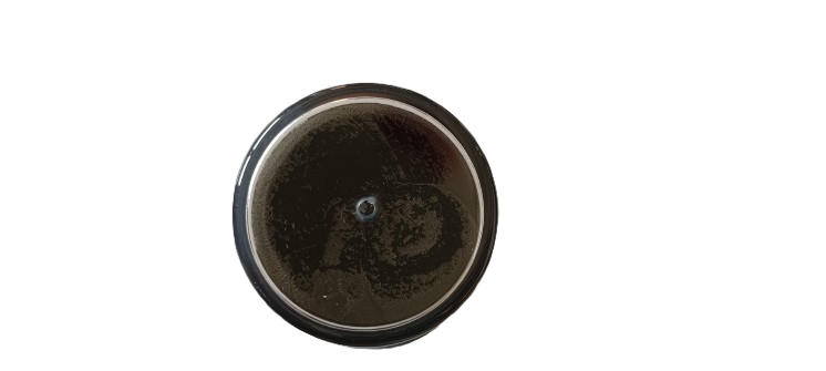 Paladin Trout Bait 60g Forellenpaste schwimmend - Forellenteig