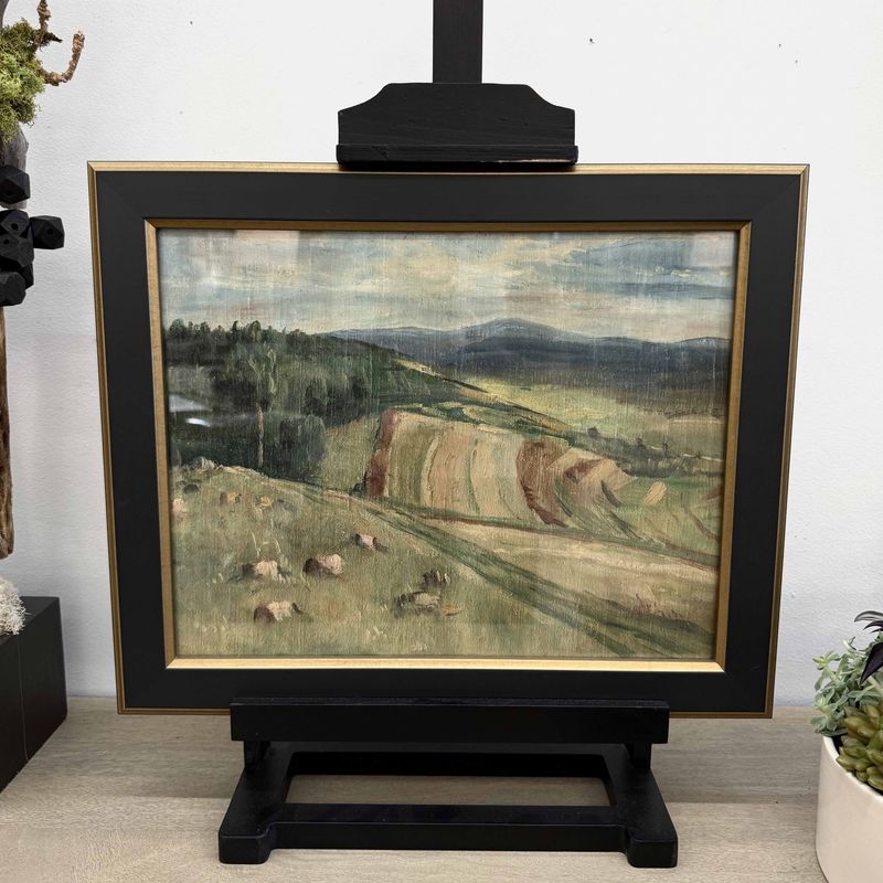 Evening Valley Framed Art