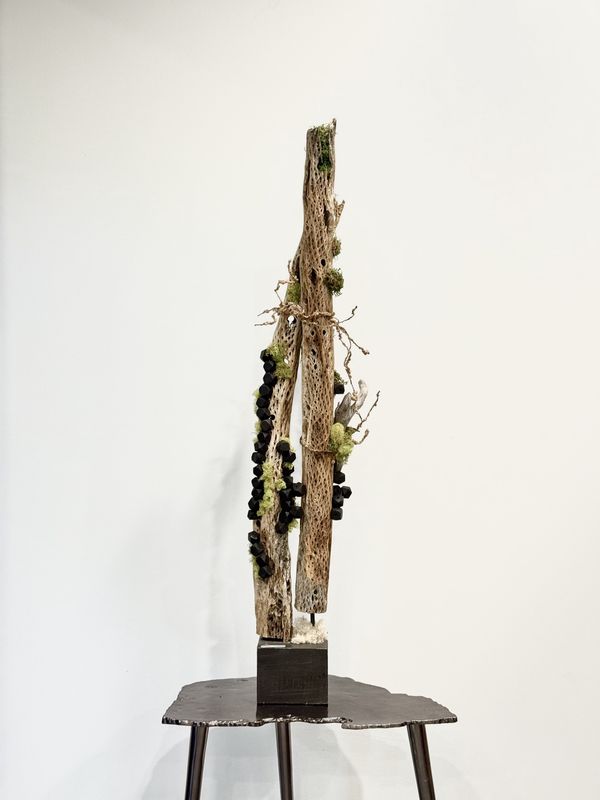 Large Driftwood Sculpture