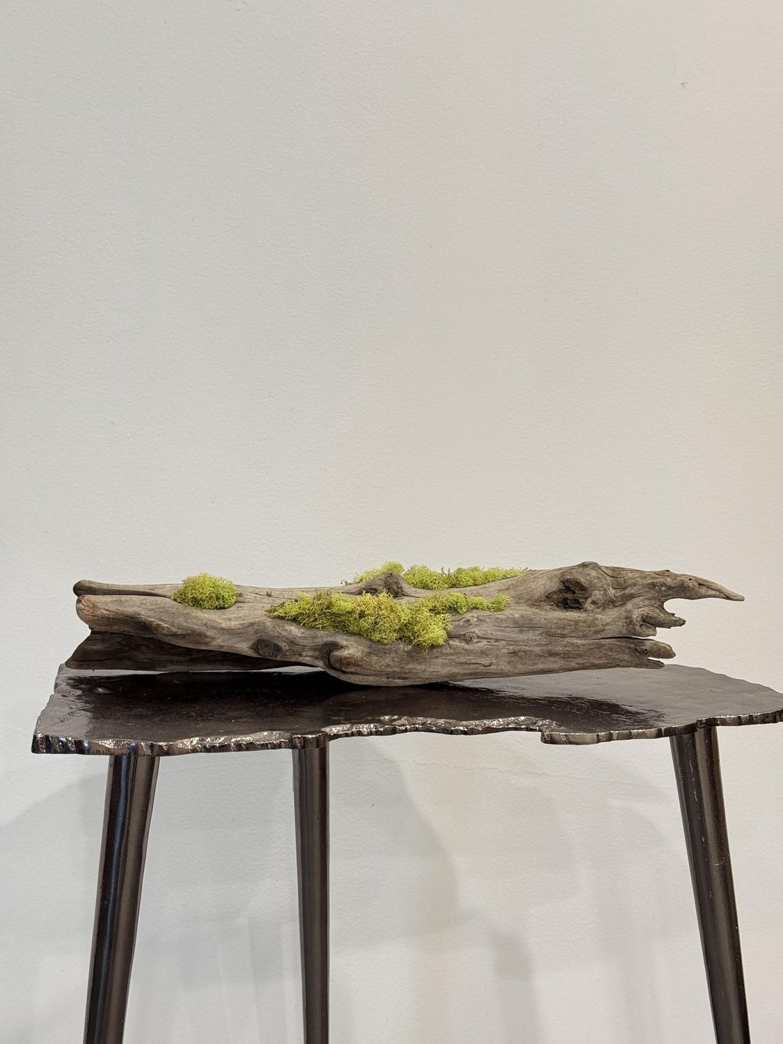 Small Mossy Driftwood