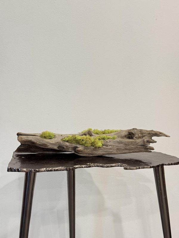 Small Mossy Driftwood