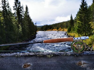 Fly Fishing Rods