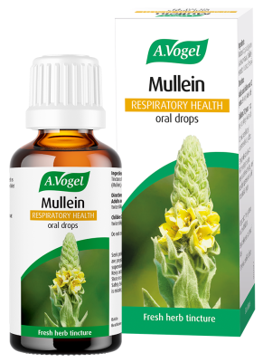 A.Vogel Mullein Drops