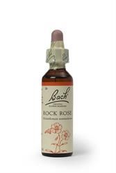 Bach Flower Rock Rose