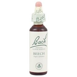 Bach Flower Remedy Beech 20ml