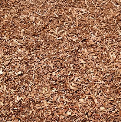 Cedar Mulch