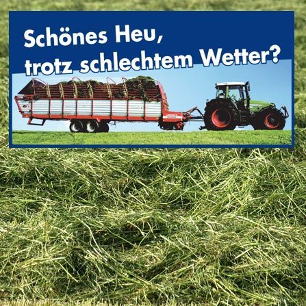 Heutrocknung Schweiz