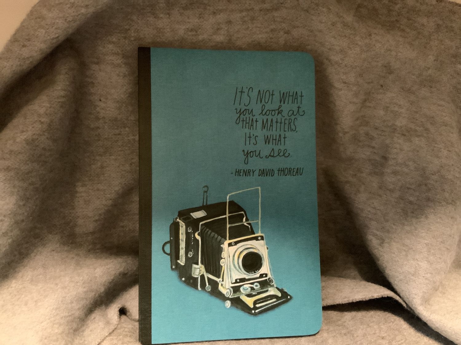 It's not what you look at that matters it's  what you see