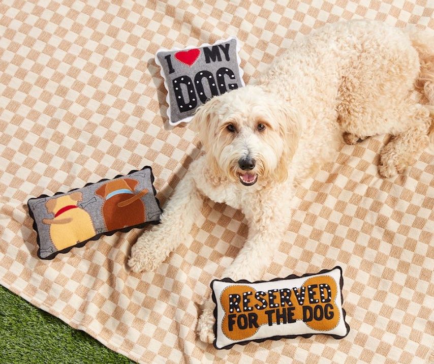 Reserved For The Dog Mini