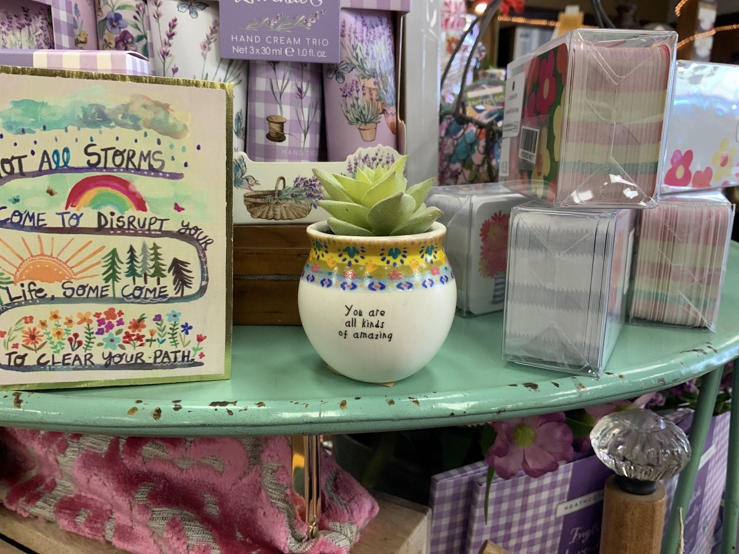 All Kinds Of Amazing Succulent