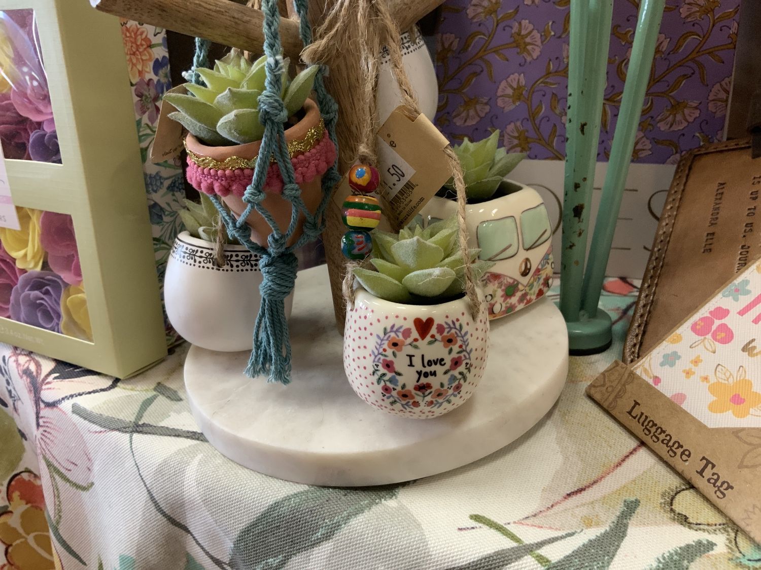 Hanging Succulent - 1