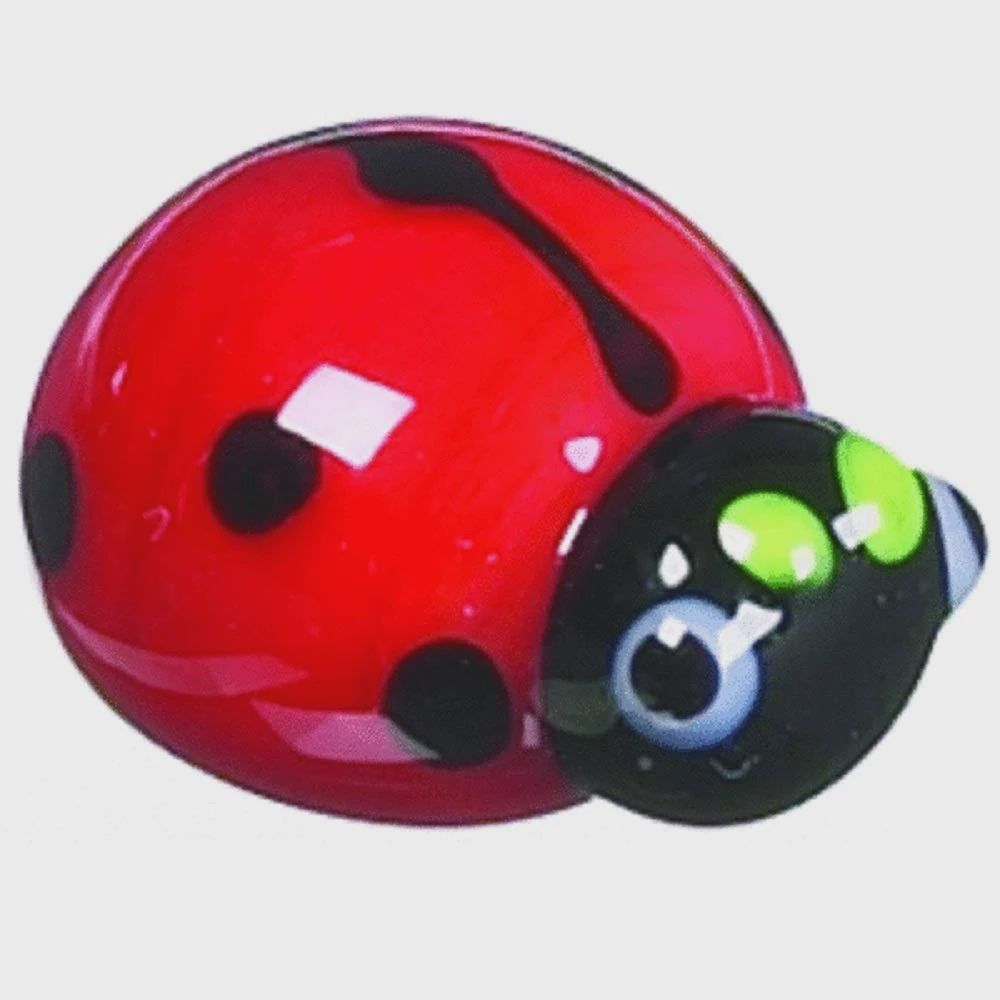 The Tiny Little Ladybug