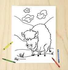 Wildlife Color Cards (6) w/env.