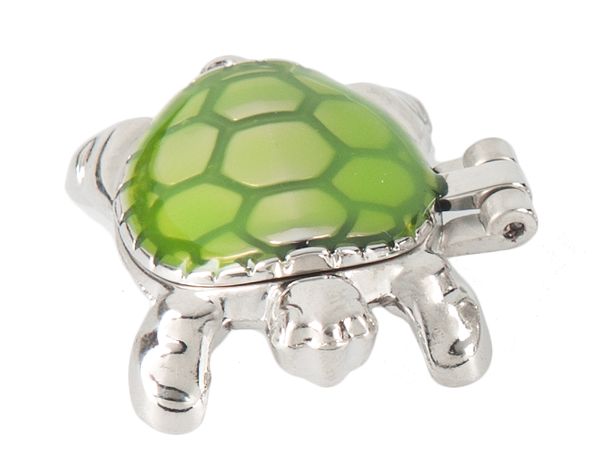 Lucky Turtles Charm