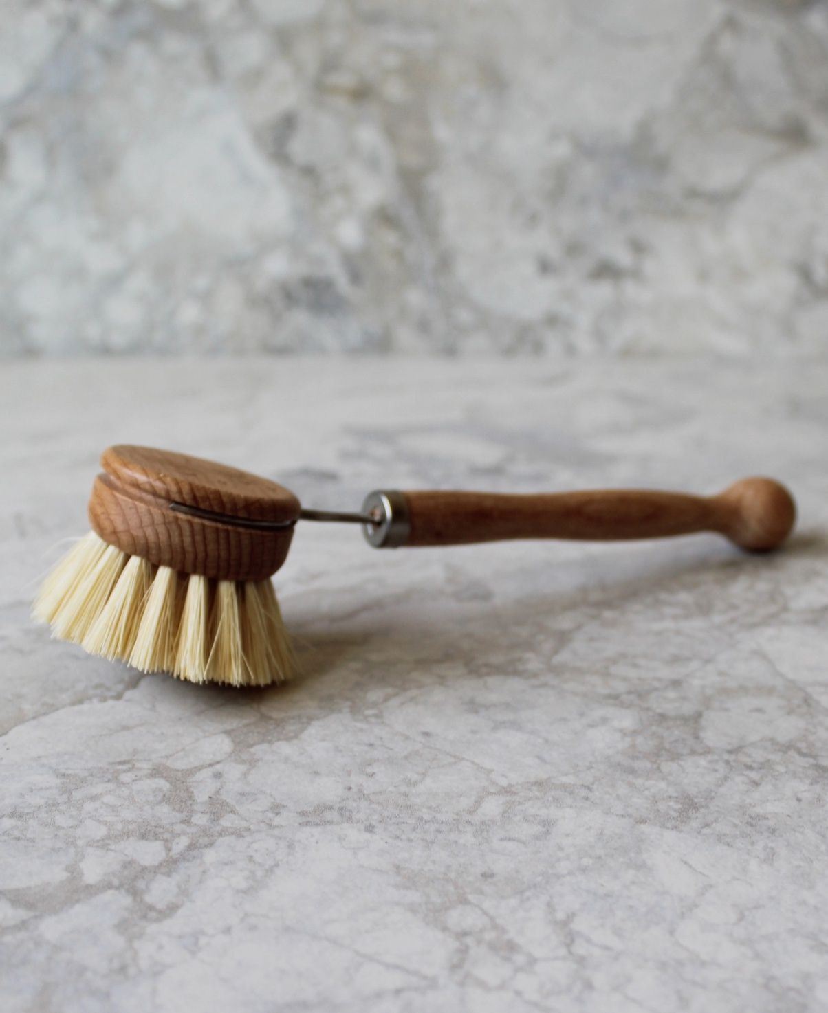 Dish Brush