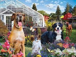 Puzzle Conservatory Canines (1000pc)