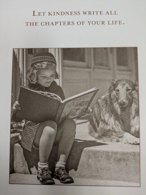 Let Kindness Write All The Chapters Of Your Life - CARD SM759