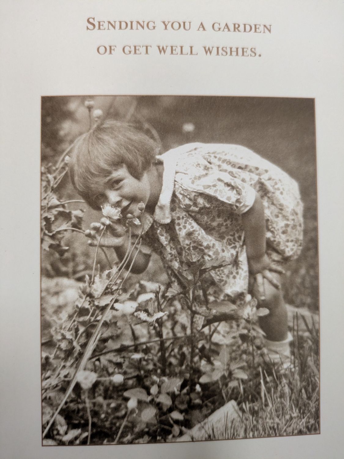 Sending You A Garden Of Get Well Wishes - Card SM717