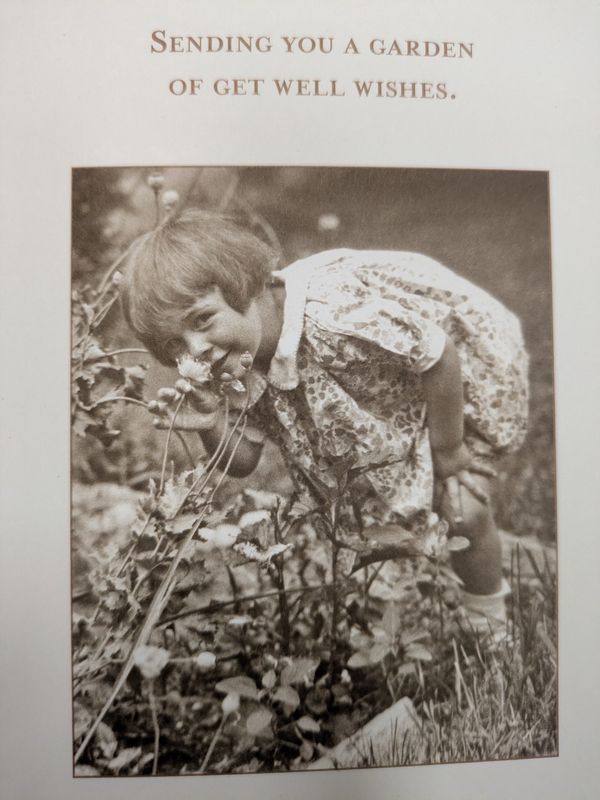 Sending You A Garden Of Get Well Wishes - Card SM717