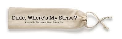 Reusable Stainless Steel Straw Set - Dude, Where's My Straw?