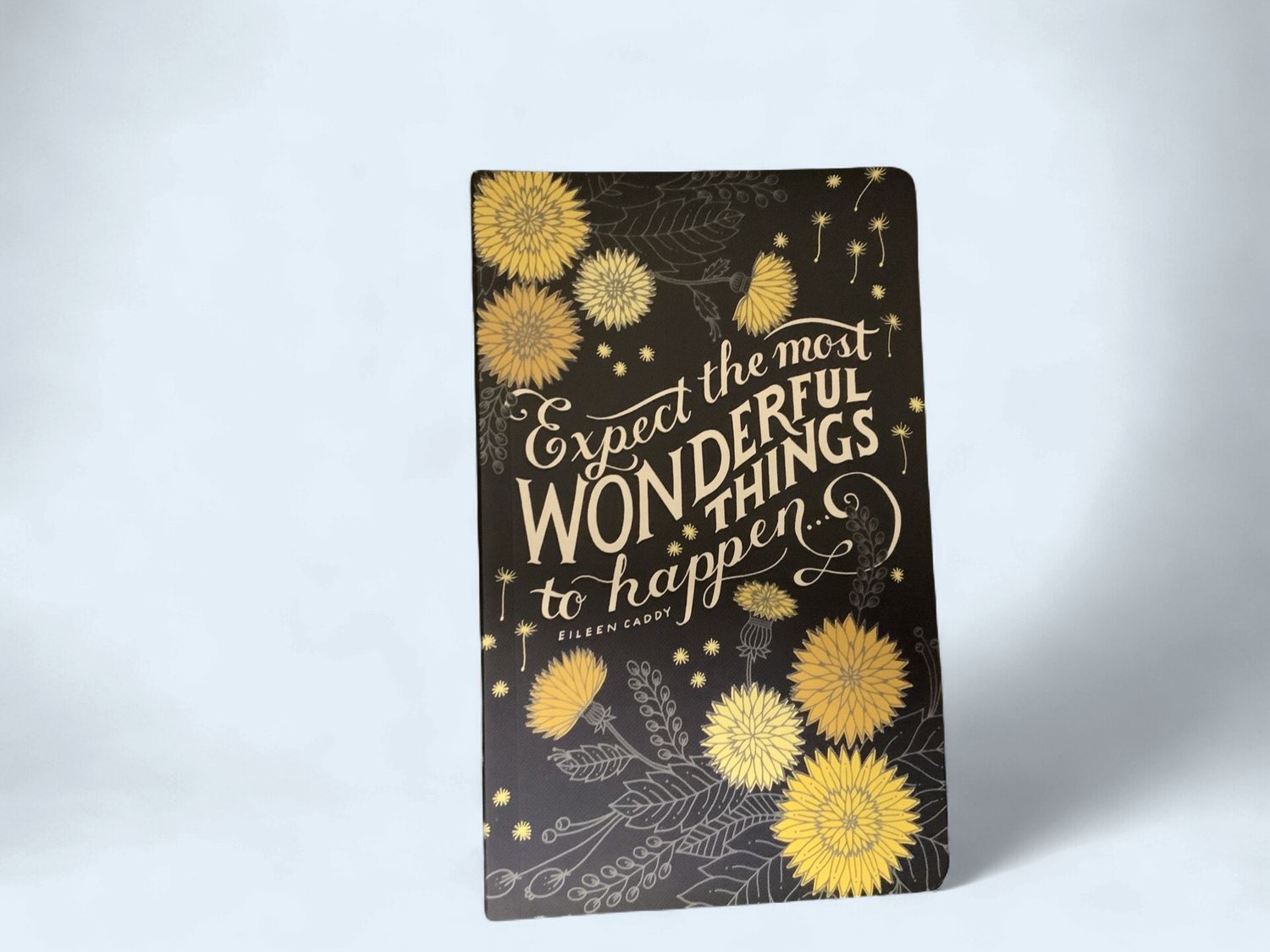 Expect Wonderful Things Journal