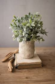 Sage With White Pot