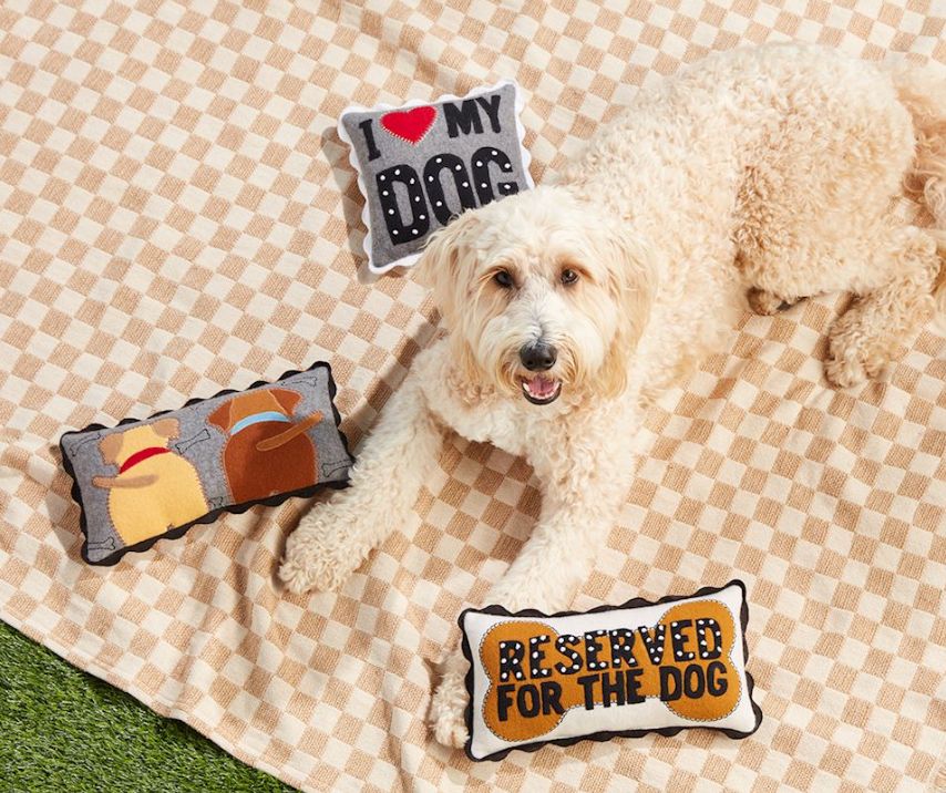 Puppy Tails Mini Felt Pillow