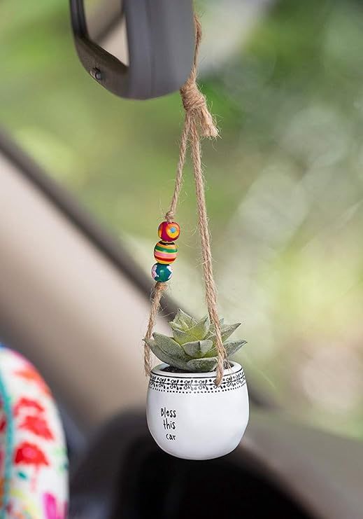 Hanging Succulent - Bless This Car