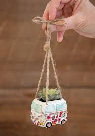 Hanging Van Succulent