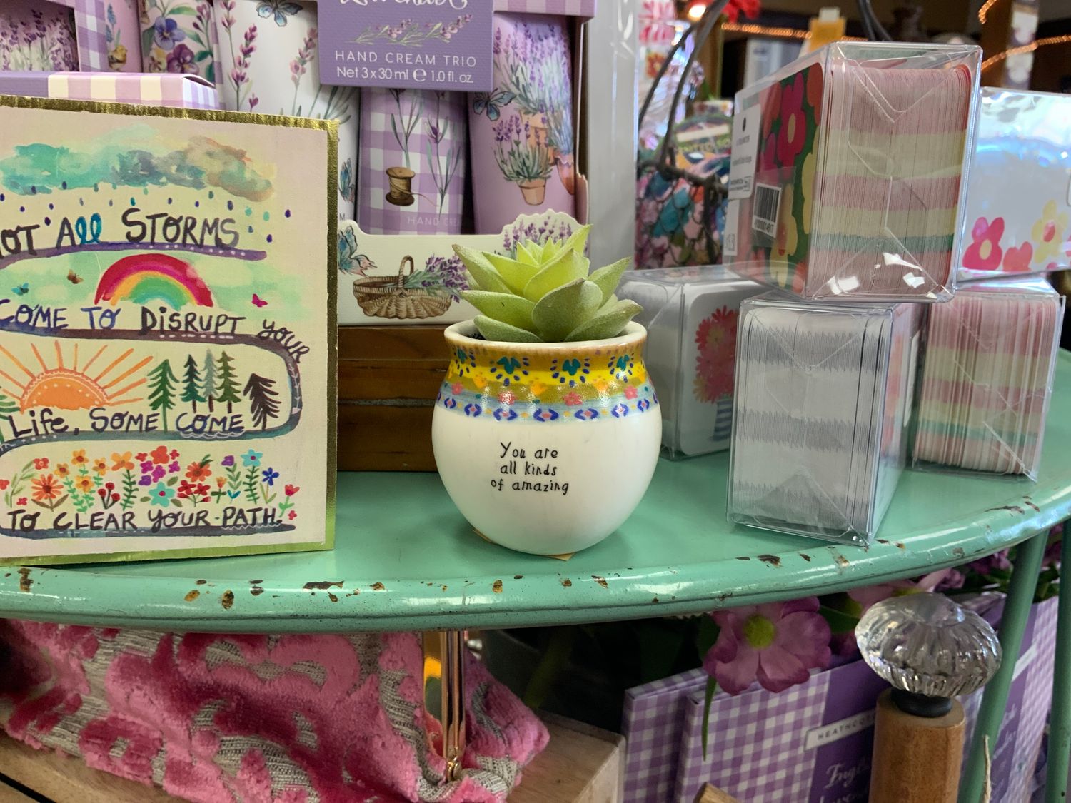 All Kinds Of Amazing Succulent