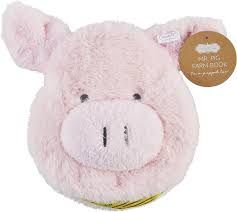 Pig Puppet Book