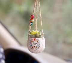 Hanging Succulent - I Love You