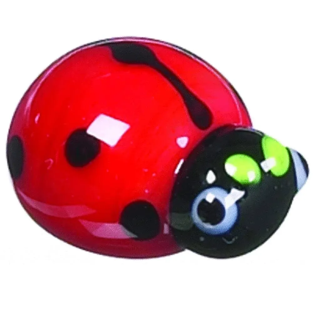 The Tiny Little Ladybug