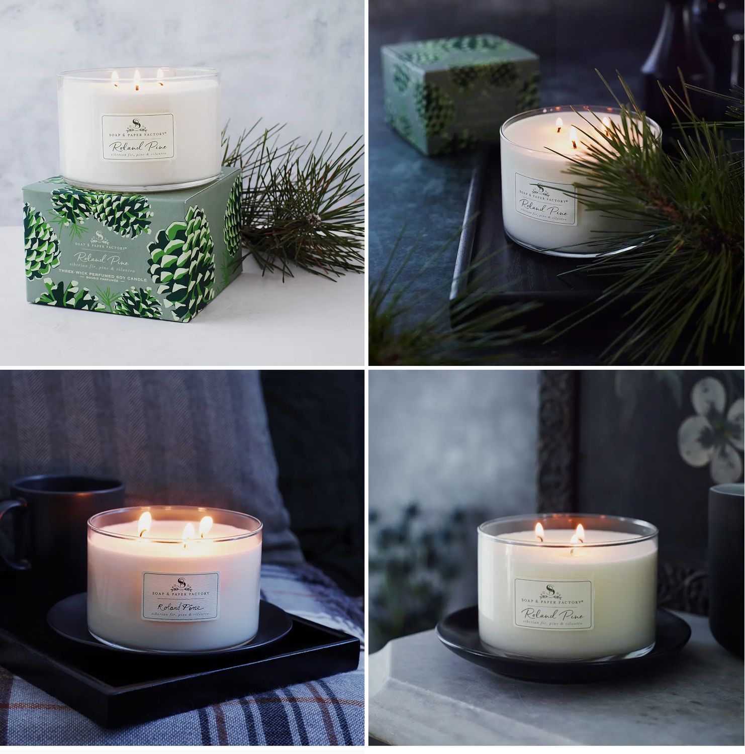 Roland Pine 3 Wick Soy Candle 18 oz.