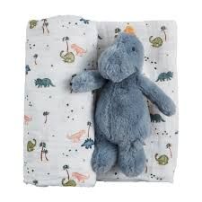 Dino Swaddle &amp; Rattle