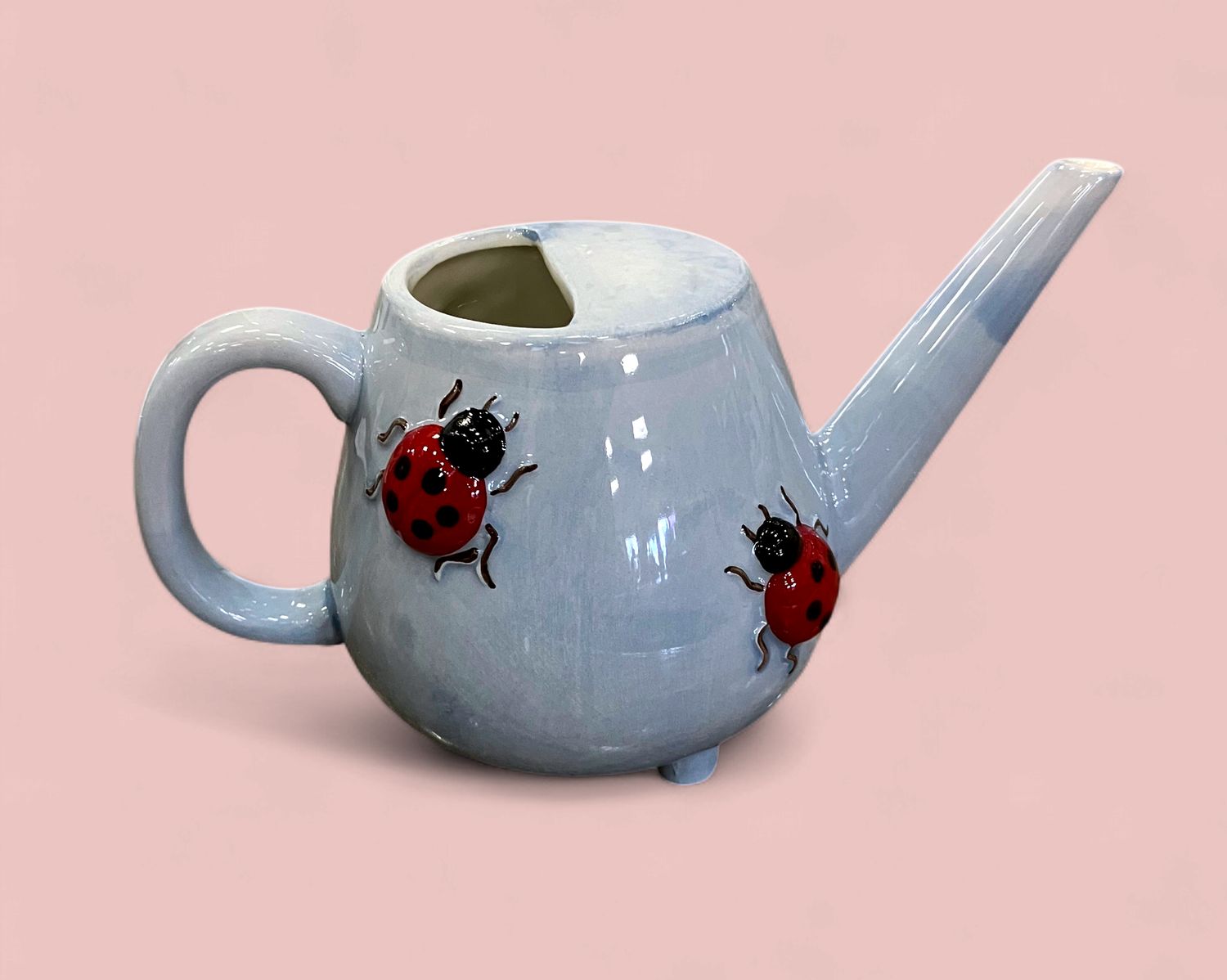 Lady Bug Ceramic Watering Can