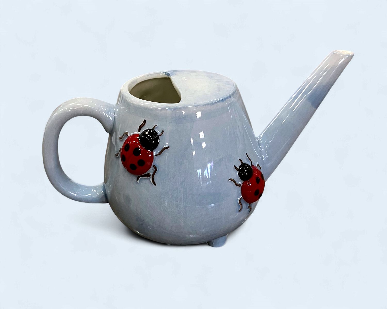 Lady Bug Ceramic Watering Can
