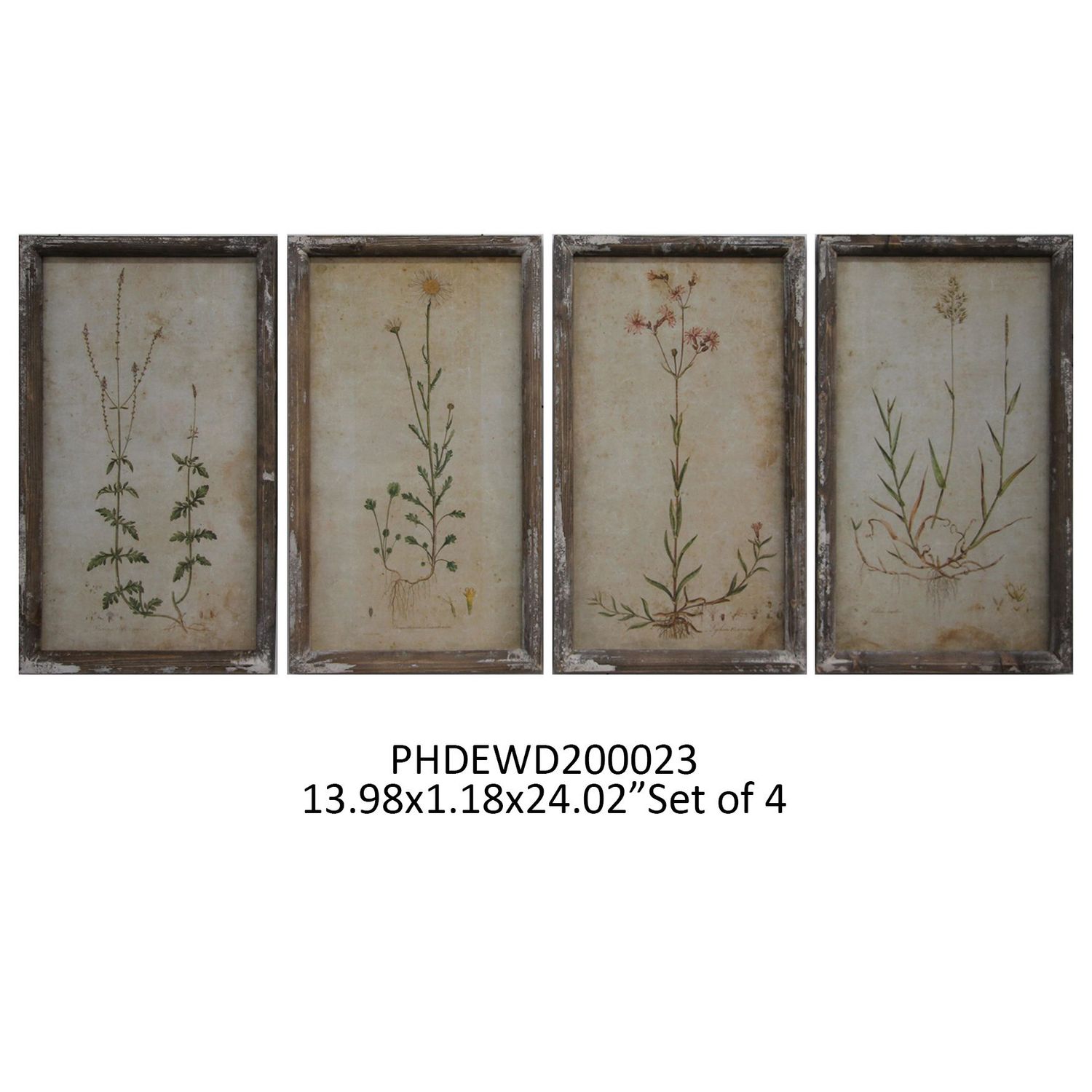 Field Flower Botanical Prints  (Assorted Styles) - 1 Framed Print