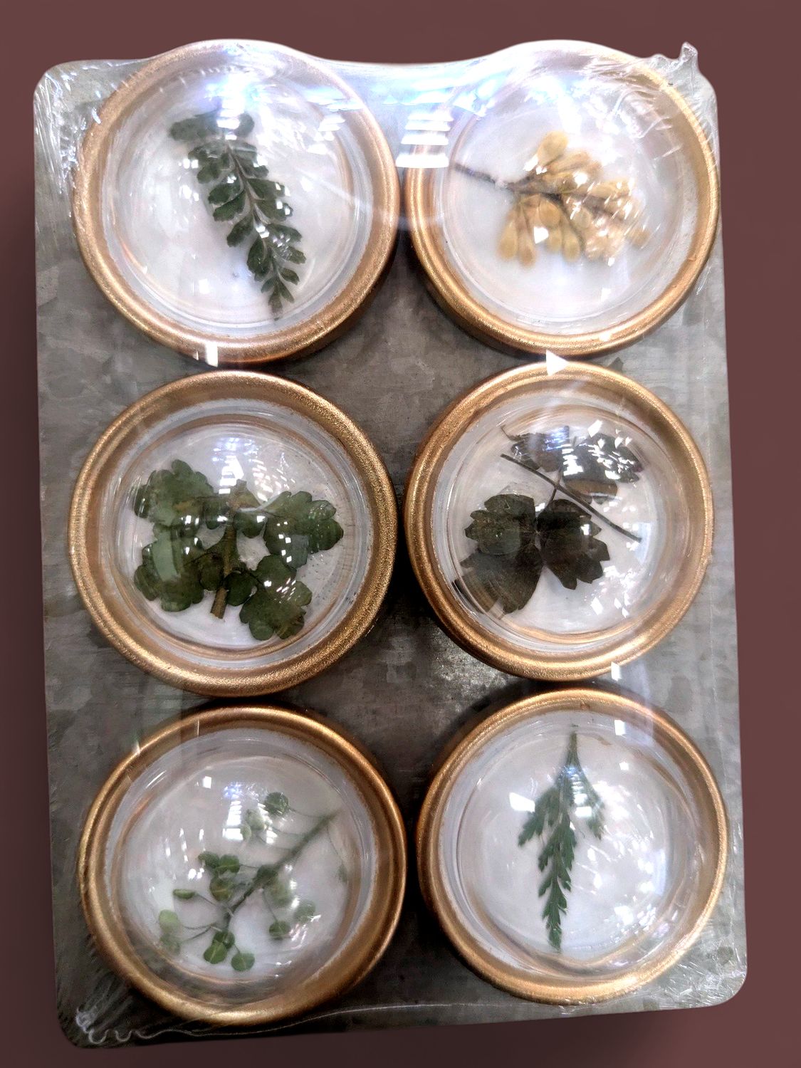 Botanical Domed Magnets on Card (6)